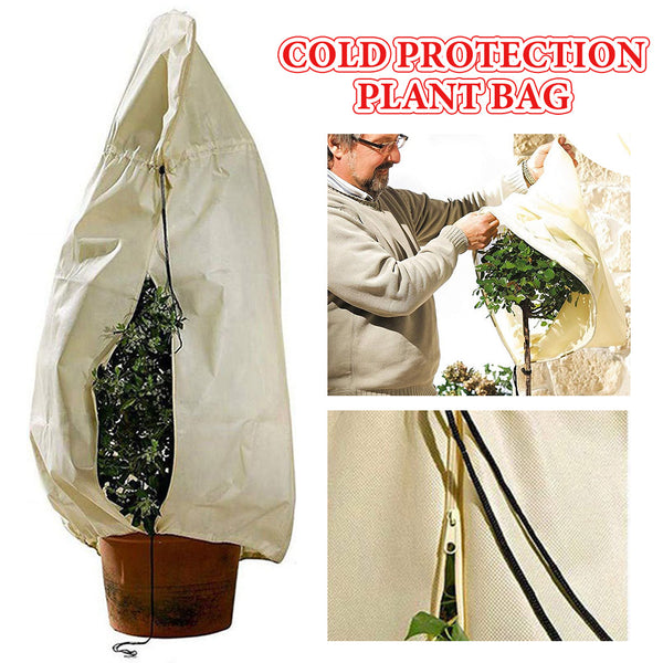 Plant Winter Warm Cover